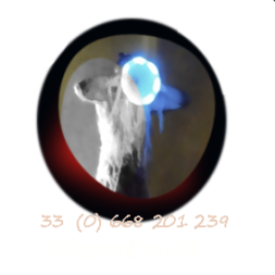 contact-000
